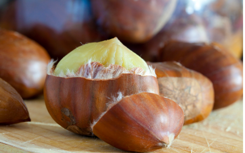 栗のいがと中の実（栗は果実＝堅果）
