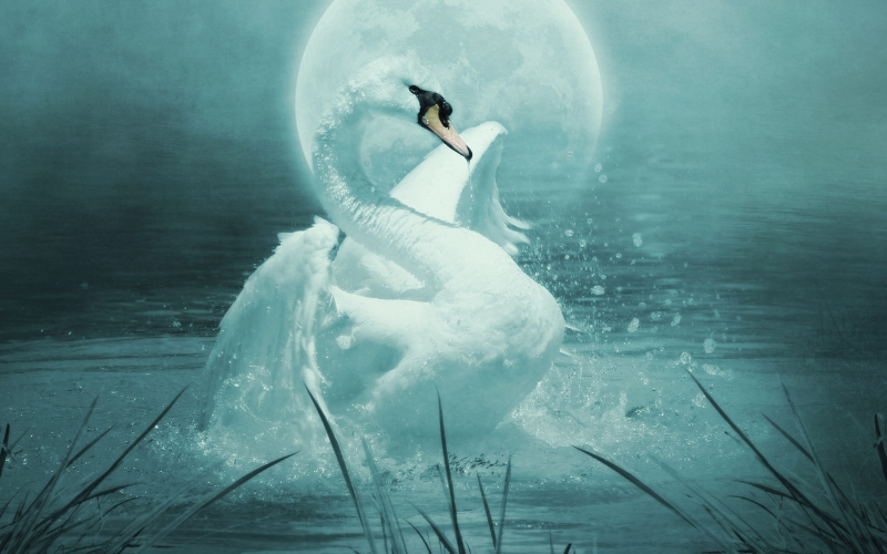 alt="ゼウスの変身神話 白鳥と黄金の雨のエピソード"
